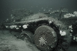 Valentine tank, in Moray Firth Scotland.
Nik V and 15mm ... by Mike Clark 